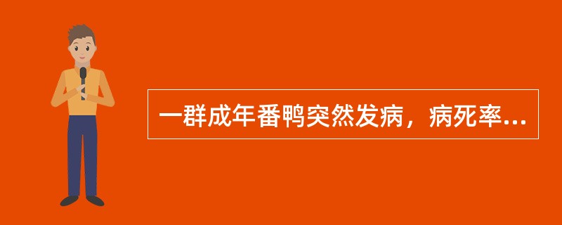 一群成年番鸭突然发病，病死率在60％以上，临床表现主要为体温升高、两腿麻痹、排绿色稀粪。剖检见食管黏膜出血、水肿和坏死，并有灰黄色假膜覆盖或溃疡；泄殖腔黏膜出血；肝有坏死点首选的确诊方法是（　　）。