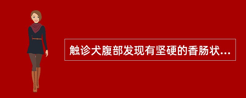 触诊犬腹部发现有坚硬的香肠状粪块，说明该犬患有（　　）。