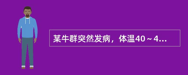 某牛群突然发病，体温40～42℃，白细胞减少。鼻、眼有浆液性分泌物。2～3天出现鼻镜及口腔黏膜糜烂，舌面上皮坏死，流涎，呼气恶臭。口腔黏膜损害后严重腹泻，带有黏液和血液。初步诊断该病为（　　）。