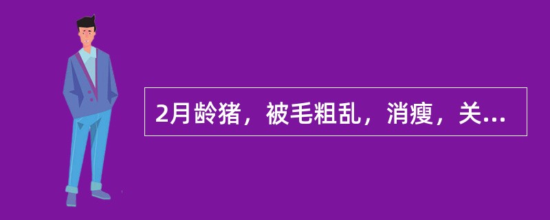 2月龄猪，被毛粗乱，消瘦，关节肿胀。关节液涂片，瑞氏染色见两极浓染的短杆菌，体外培养时须供给X因子和V因子。该病最可能的病原是（　　）。