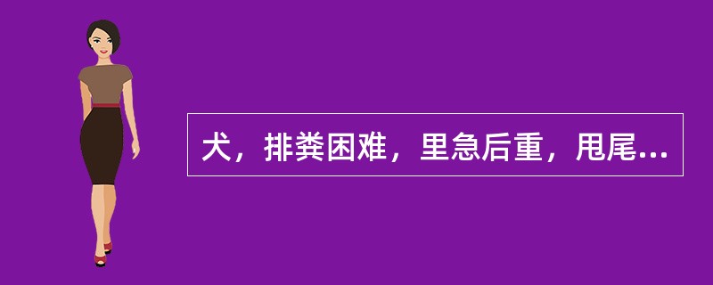 犬，排粪困难，里急后重，甩尾，擦舔肛门，挤压其肛门疼痛并流出黑灰色恶臭物。该病是（　　）。