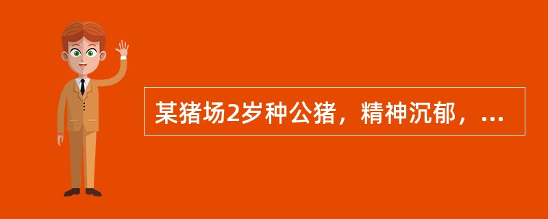 某猪场2岁种公猪，精神沉郁，步态强拘，拱背，腰部触诊敏感，常做排尿姿势。尿检可见红细胞、白细胞、盐类结晶、肾上皮细胞。该病可能的诊断是（　　）。