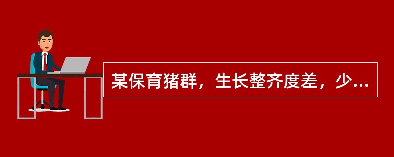 某保育猪群，生长整齐度差，少数仔猪消瘦，皮肤苍白，眼睑水肿，腹泻，黄疸。剖检见间质性肺炎，淋巴结肿大，肾脏表面有白斑。该病最可能的病原是（　　）。