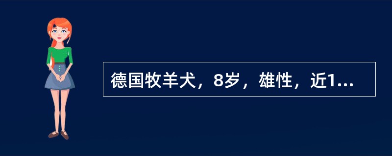 德国牧羊犬，8岁，雄性，近1周精神沉郁，食欲减退，频尿，排尿困难，血常规检查白细胞总数升高，尿液检查出现多量白细胞。可以排除的疾病是（　　）。