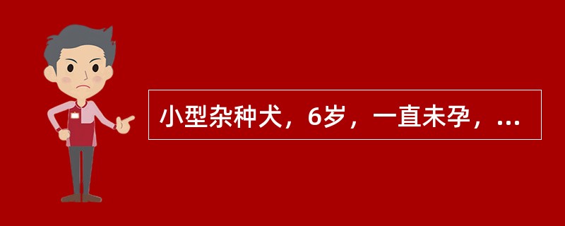 小型杂种犬，6岁，一直未孕，左下腹股沟部突发一局限性肿胀，经B超检查可见单个泳动可变的囊状低回声暗区。该肿胀物的内容物可能是（　　）。