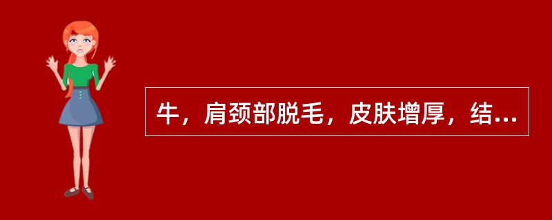 牛，肩颈部脱毛，皮肤增厚，结痂，刮取皮屑镜检见长圆形虫体，有足4对，均伸出体缘，该病的传播途径是（　　）。