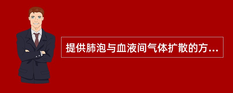 提供肺泡与血液间气体扩散的方向主要取决于（　　）。