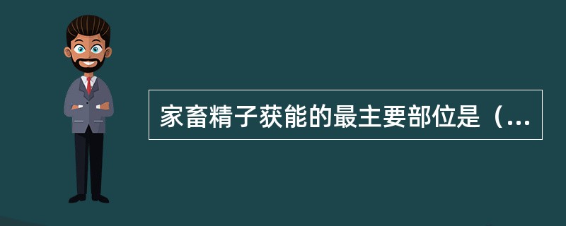 家畜精子获能的最主要部位是（　　）。