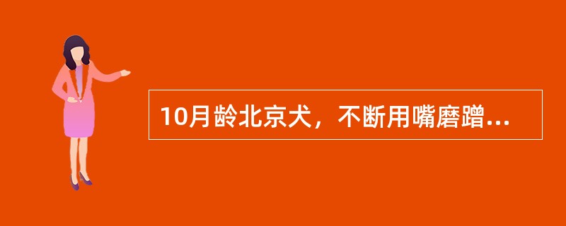 10月龄北京犬，不断用嘴磨蹭地或用爪挠面部，检查发现该犬唇部，眼睛周围皮肤发红，脱毛，有红色和脓<br />性疱疹，腹部有黄色痂皮，采集病健交接处病料镜检，发现多个大小不超过0.5mm，呈