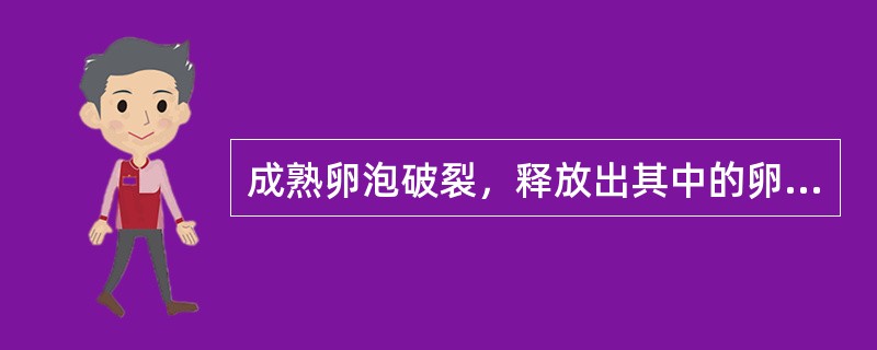 成熟卵泡破裂，释放出其中的卵细胞、卵泡液和一部分卵泡细胞的过程称为（　　）。