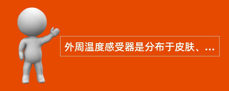 外周温度感受器是分布于皮肤、黏膜和内脏的（　　）。