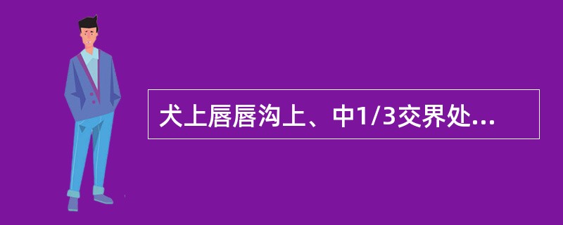 犬上唇唇沟上、中1/3交界处的穴位是（　　）。