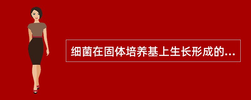 细菌在固体培养基上生长形成的菌落连成一片，称为（　　）。