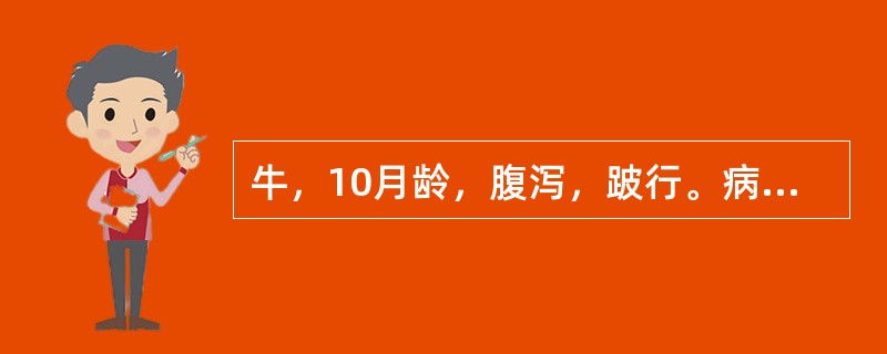 牛，10月龄，腹泻，跛行。病料接种牛睾丸细胞，分离到有囊膜的球形病毒粒子。该病最可能的病原是（　　）。