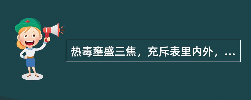 热毒壅盛三焦，充斥表里内外，治疗宜选用的方剂为（　　）。