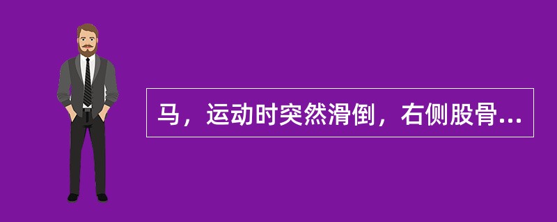 马，运动时突然滑倒，右侧股骨大转子明显突出，站立时患肢缩短，外展，蹄尖向外，飞端向内，运动时呈三肢跳跃，患肢向后拖曳前行。该马最可能发生（　　）。