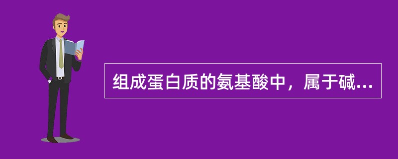 组成蛋白质的氨基酸中，属于碱性氨基酸的是（　　）。