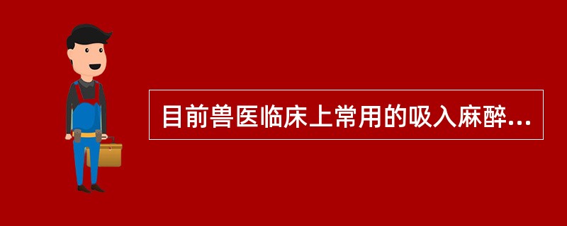 目前兽医临床上常用的吸入麻醉剂是（　　）。