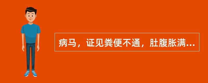 病马，证见粪便不通，肚腹胀满，回头观腹，不时起卧，食欲废绝，嗳气酸臭，口色赤红，舌苔黄厚，脉沉有力。本病可选用的基础方剂是（　　）。