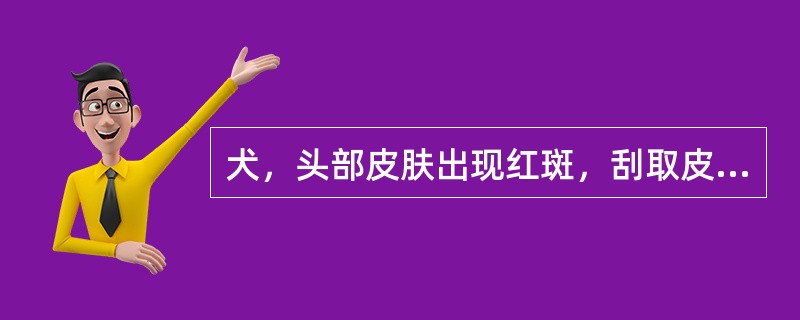 犬，头部皮肤出现红斑，刮取皮屑镜检见大量窄长虫体，有足4对，粗短，虫体后部体表有明显横纹。该病的传播途径是（　　）。