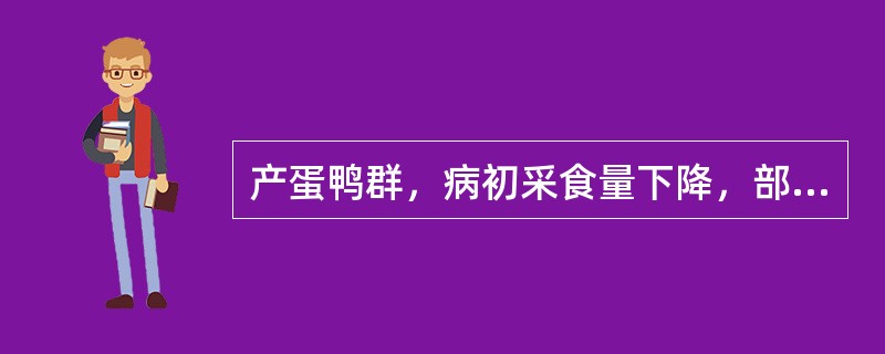 产蛋鸭群，病初采食量下降，部分鸭排草绿色稀便，1周后产蛋量锐减70%，同时出现砂壳蛋、畸形蛋。剖检见卵泡膜充血、出血；肝脏肿大有坏死灶。该病最可能的诊断是（　　）。