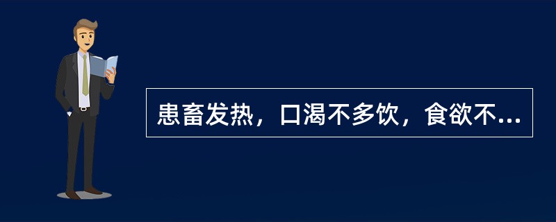 患畜发热，口渴不多饮，食欲不振，困重，呕吐、便溏。中兽医辨证确定的证候属于（　　）。 