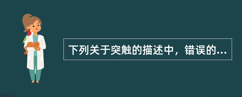 下列关于突触的描述中，错误的是（　　）。
