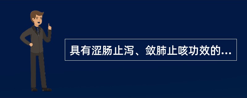 具有涩肠止泻、敛肺止咳功效的药物是（　　）。