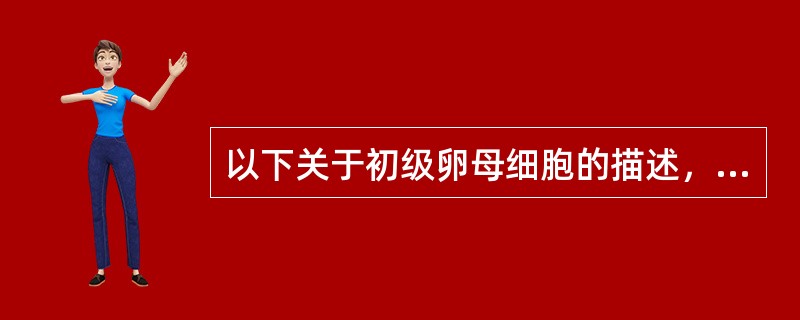 以下关于初级卵母细胞的描述，错误的是（　　）。