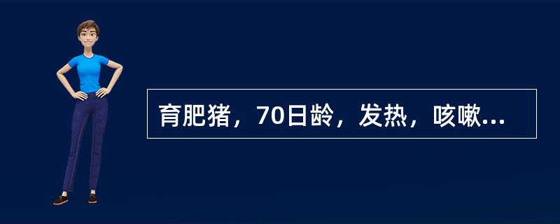 育肥猪，70日龄，发热，咳嗽，呈间歇性神经症状。剖检见肾脏有针尖大小出血点，脑膜明显充血水肿，扁桃体、肝脏有散在灰白色坏死点。该场妊娠母猪有流产现象。实验室确诊野毒感染的方法是（　　）。