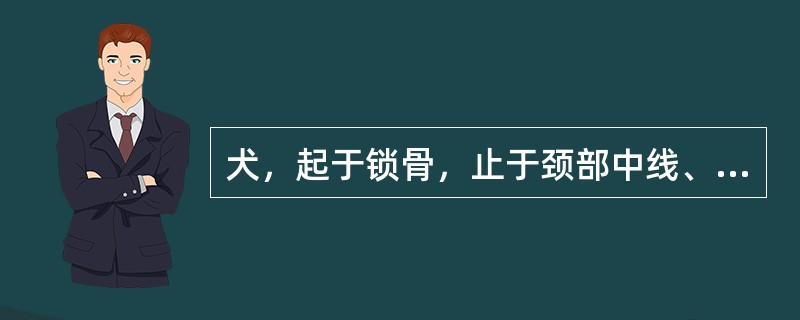 犬，起于锁骨，止于颈部中线、乳突和肱骨的肌肉是（　　）。