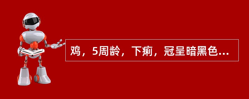 鸡，5周龄，下痢，冠呈暗黑色，剖检病见盲肠肿胀，有干酪样渗出；肝脏肿大，表面有中央凹陷边缘隆起的坏死灶；盲肠内容物检查发现直径约10微米、有一根鞭毛的虫体。该鸡群应选用的治疗药物是（　　）。