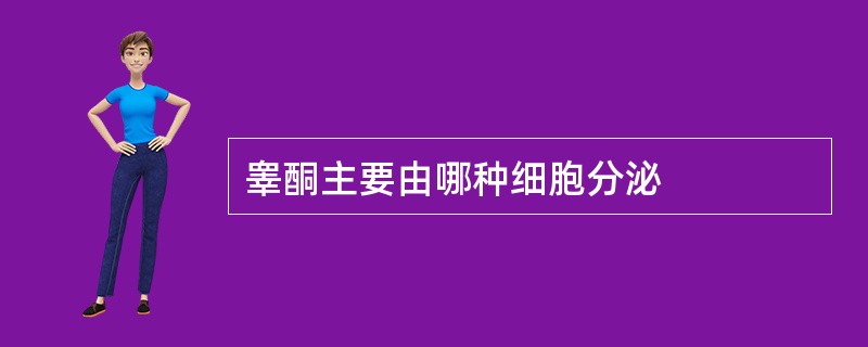 睾酮主要由哪种细胞分泌