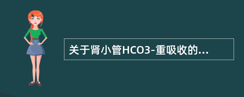 关于肾小管HCO3-重吸收的叙述，错误的是