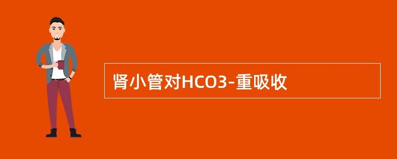 肾小管对HCO3-重吸收