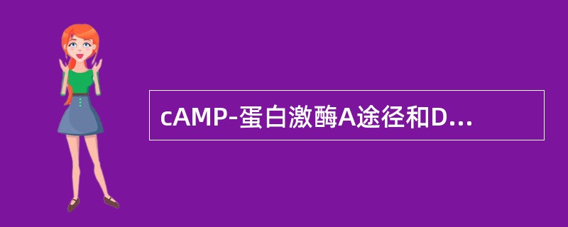 cAMP-蛋白激酶A途径和DG-蛋白激酶C途径的共同特点是