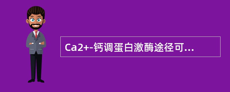 Ca2+-钙调蛋白激酶途径可被上述哪种物质激活