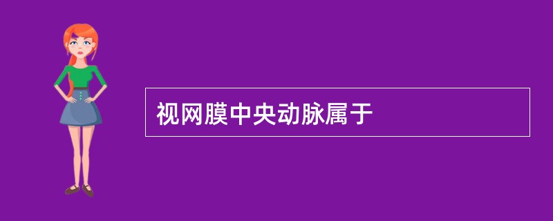 视网膜中央动脉属于