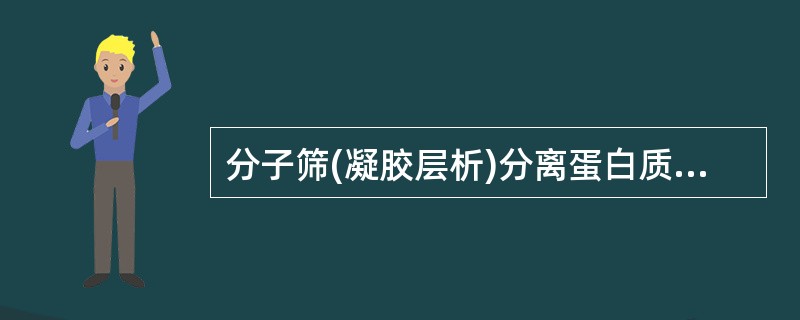 分子筛(凝胶层析)分离蛋白质的依据是