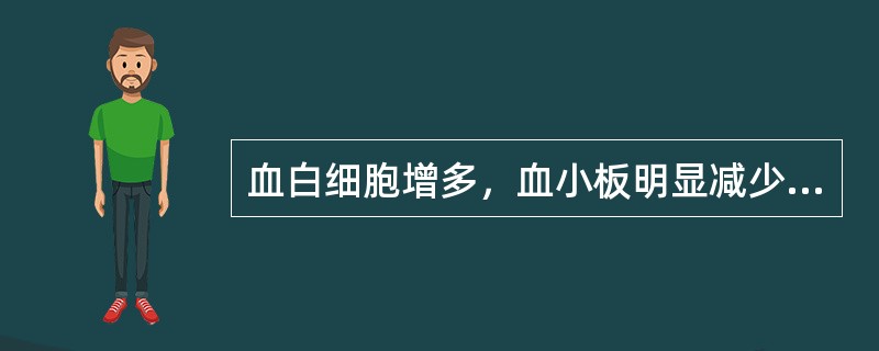 血白细胞增多，血小板明显减少，并可见异型血小板，多见于