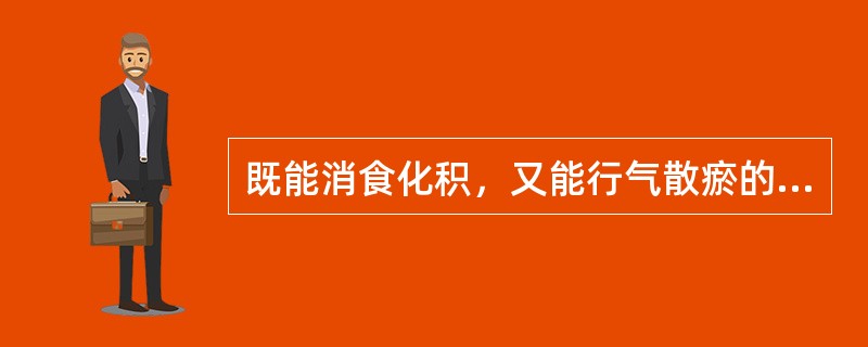 既能消食化积，又能行气散瘀的药物是