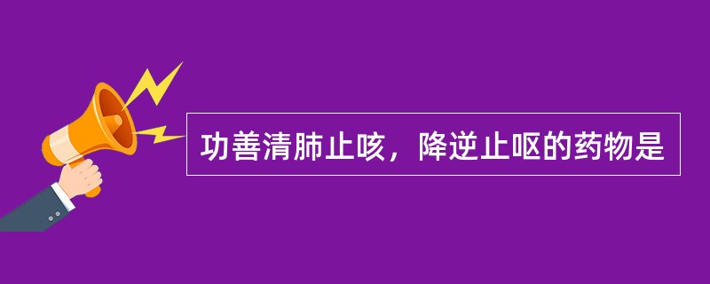 功善清肺止咳，降逆止呕的药物是