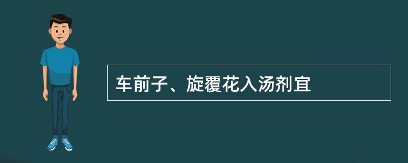 车前子、旋覆花入汤剂宜