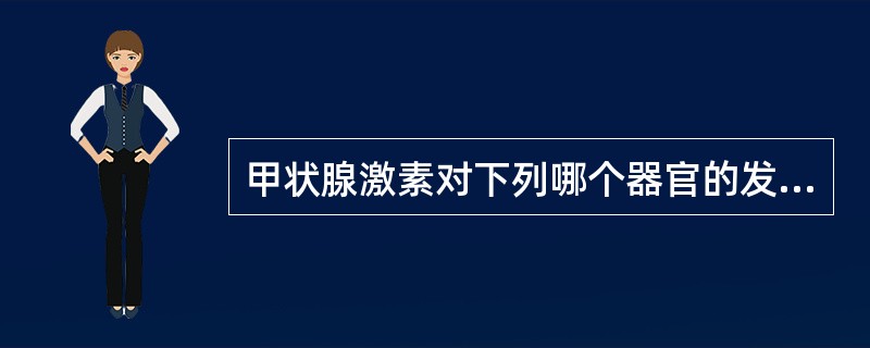 甲状腺激素对下列哪个器官的发育最为重要