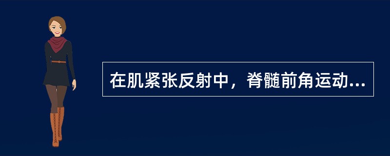 在肌紧张反射中，脊髄前角运动神经元属于