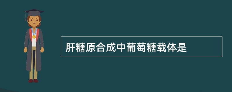 肝糖原合成中葡萄糖载体是