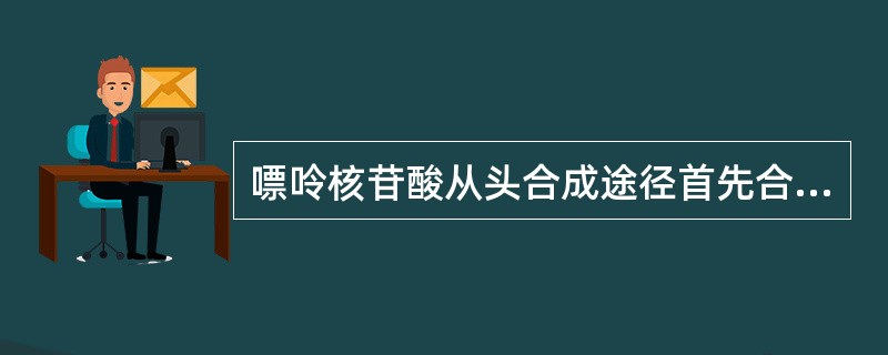 嘌呤核苷酸从头合成途径首先合成的是