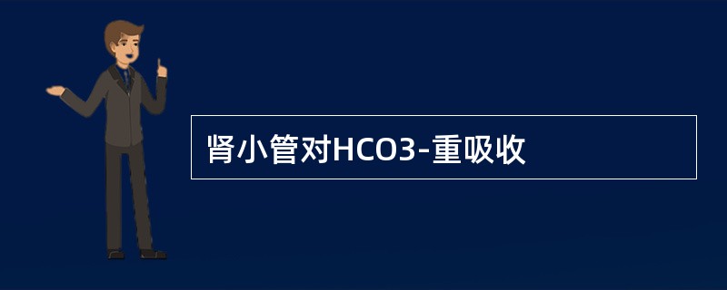 肾小管对HCO3-重吸收