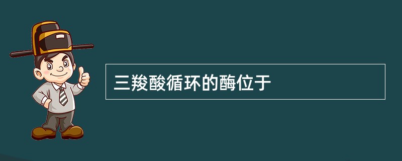 三羧酸循环的酶位于