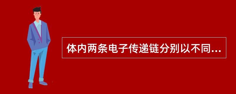 体内两条电子传递链分别以不同递氢体起始，经呼吸链最后将电子传递给氧，生成水。这两条电子传递链的交叉点是